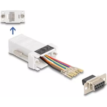 DeLOCK D-Sub 9 pin female to RJ45 female montāžas komplekts balts VGA RJ-45