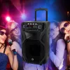 Pārnēsājams karaoke skaļrunis MANTA SPK5021PRO 20W, 12 collu zemfrekvences skaļrunis, 80W RMS, Bluetooth, baterija līdz 5h, SD/USB, mikrofona un ģitāras ieejas