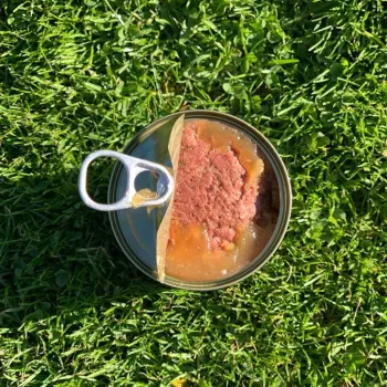 Slapjā suņu barība OLLO Pure Beef and zaļa Tripe 400 g bundža — pieaugušiem suņiem, olbaltumvielas 14,5%, tauki 11,9%, mitrums 69%