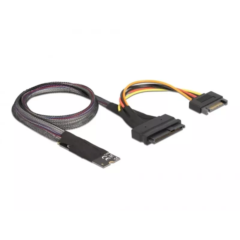 DeLOCK M.2 Key M uz U.2 SFF-8639 NVMe adapters ar 50 cm kabeli
