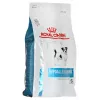 Sausā suņu barība Royal Canin Hypoallergenic Small Breed 3.5 kg — pieaugušiem maziem suņiem, olbaltumvielas 24%, tauki 16%