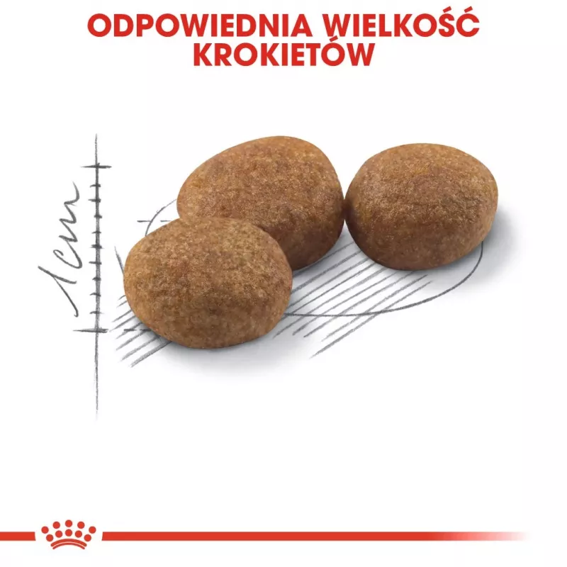Royal Canin Sterilised 37 kaķu sausā barība 400 g pieaugušiem putnu gaļas