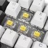 Sharkoon SGK50 S4 tastatūra Mājas USB QWERTZ Vācu Balta RGB LED 60%