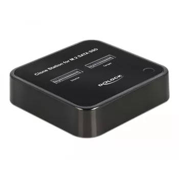 DeLOCK 64178 dokstacija USB 3.2 Gen 2 Type-C SSD M.2