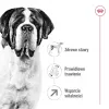 ROYAL CANIN Giant Adult - sausa suņu barība - 15 kg