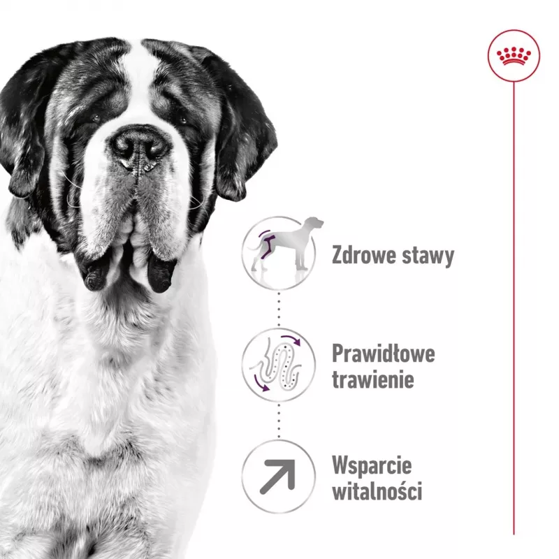 ROYAL CANIN Giant Adult - sausa suņu barība - 15 kg