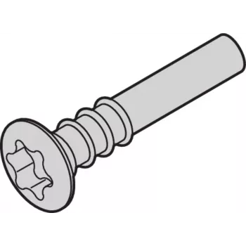 SCHROFF Torx-Linsenkopfschraube - NTS LISESHR TORX3.0X20 100 gab. (24812501)