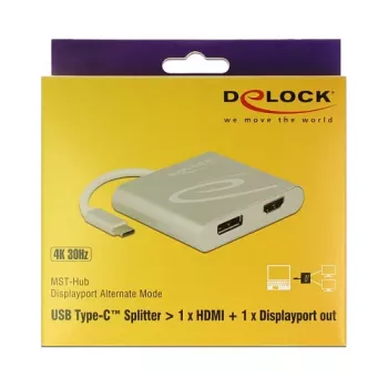 USB grafikas adapteris DeLOCK 87716 2560 x 1440 pikseļi Sudraba krāsa