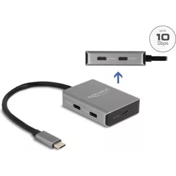 USB Type-C mezgls DeLOCK 64249 10000 Mbit/s Melns Pelēks