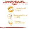 ROYAL CANIN FBN Maine Coon - Kaķu mitrā barība - paciņa 12x 85g