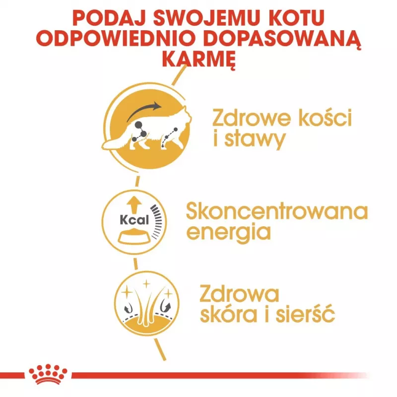 ROYAL CANIN FBN Maine Coon - Kaķu mitrā barība - paciņa 12x 85g