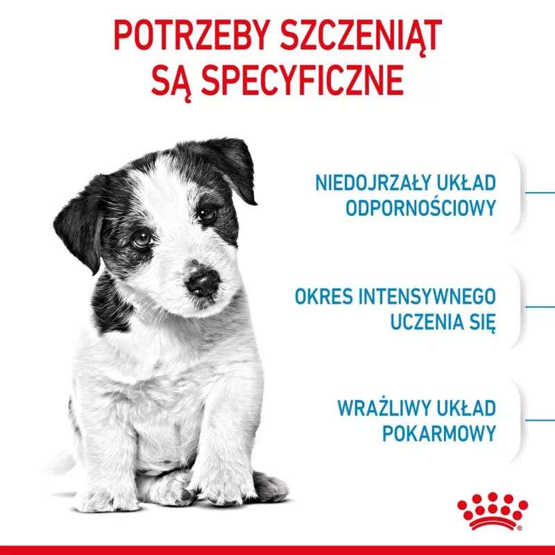 Sausā suņu barība Royal Canin Mini Puppy 2 kg — mazas šķirnes, vista, 31% olbaltumvielu