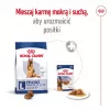 Sausā suņu barība Royal Canin Maxi Adult 5+ 15 kg — vista, Olbaltumvielas 26%, Tauki 17%