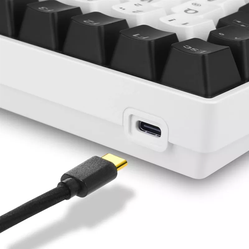 Sharkoon SKILLER SGK50 S3 tastatūra spēlēm USB AZERTY franču balta