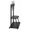 Gembird TVS-100F-01 statīvs izkārtņu displejiem 2.54 m (100) Melns