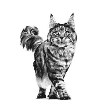 ROYAL CANIN Cat Gastrointestinal VHN - sauso kaķu barība - 400g