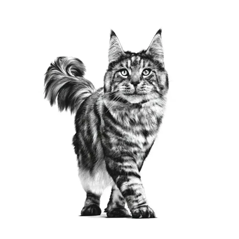 ROYAL CANIN Cat Gastrointestinal VHN - sauso kaķu barība - 400g