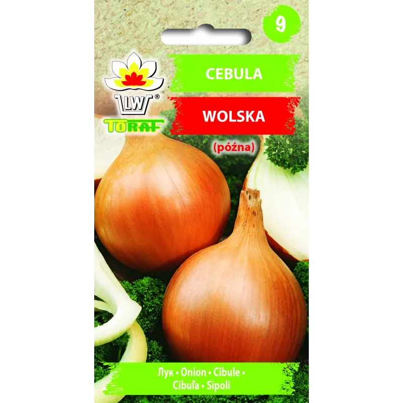 Wolska Onion Toraf dārzeņu sēklas, 5g iepakojums
