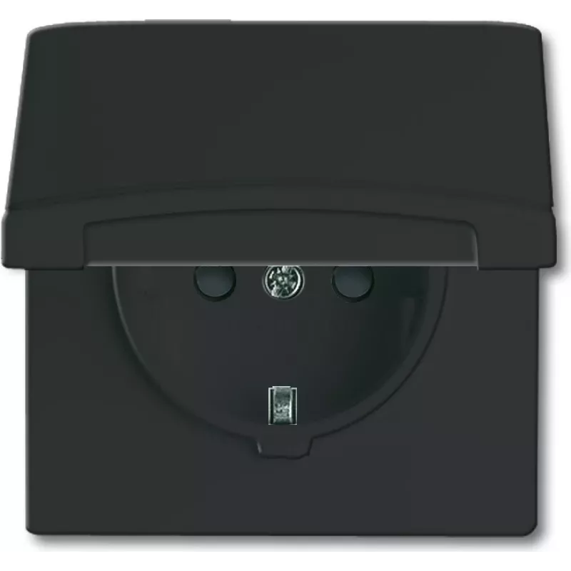 Busch-jaeger 2CKA002064A0295 melna
