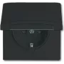 Busch-jaeger 2CKA002064A0295 melna