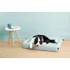 PETKIT All Season Sleep (B5-S) mājdzīvnieku gulta, S izmērs | P7110 S | Zaļa