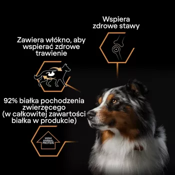PURINA Pro Plan Everyday nutrition Visu izmēru pieaugušiem suņiem Turkey želejā - mitrā suņu barība - 400g