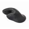 Gembird MUSW-ERGO-03 pele Mājas Labās rokas RF bezvadu Optiskā 1600 DPI