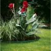 Gardena 536-20 dārza apmales rullis, plastmasa, zaļš (536)