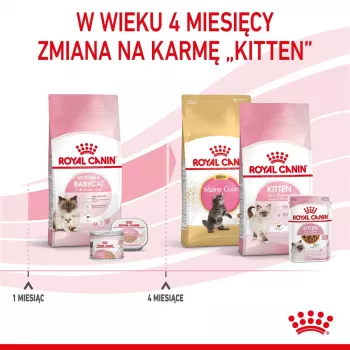 Sausā kaķu barība Royal Canin Mother & Babycat 2 kg — vista, grūsnām, laktējošām kaķenēm un kaķēniem (Junioriem)