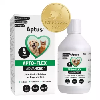 Šķidrs locītavu uztura bagātinātājs Aptus Apto-flex Advanced suņiem un kaķiem 500 ml, šķidrs, 500 ml pudele, bez konservantiem
