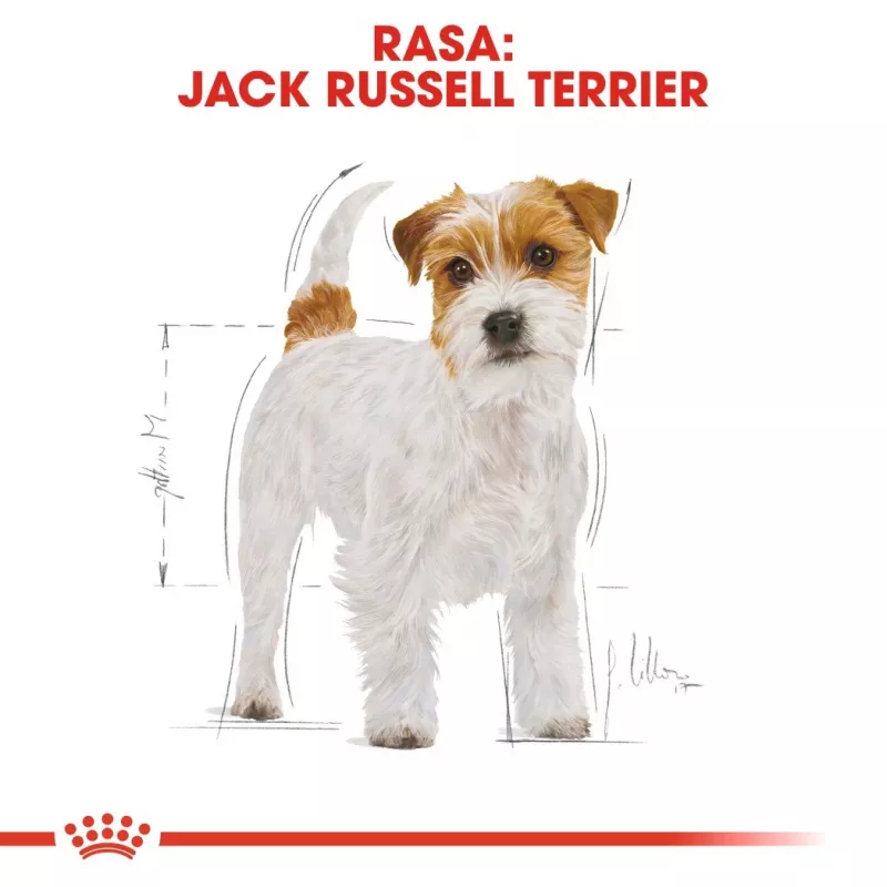 ROYAL CANIN Jack Russell Adult sausā suņu barība - 1.5 kg