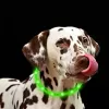 LED kakla siksna Anicoll zaļa suņiem un kaķiem Modelis uzlādējams apgaismojums