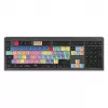 Logickeyboard LKB-PPROCC-A2M-UK tastatūra USB QWERTY angļu valoda melna (LKB-PPROCC-A2M-UK)