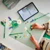 LEGO BOTANICALS 11508 Daisies