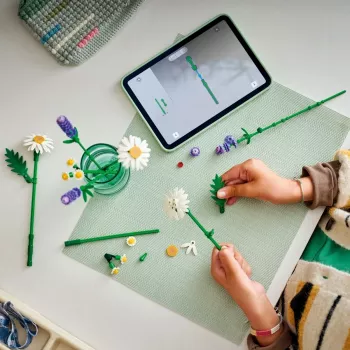 LEGO BOTANICALS 11508 Daisies