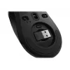 Lenovo Legion M600 bezvadu spēļu pele, piemērota abām rokām, RF Wireless + Bluetooth + USB Type-A, optiska, 16000 DPI