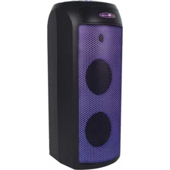 Portable Speaker Reflexion PSX30BT, Melns