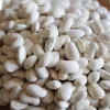 Sēklu paciņa Seklos LT PNOS — sausās pupiņas 'Igłomska' sēklas, 50 g