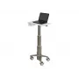 Klēpjdatora statīvs Ergotron C50-1100-0 Pelēks 39.6 cm