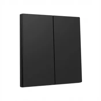 Gira svira 2-vietīga System 55 melna – vāka plāksnes ieliktnis diviem slēdžiem (modelis 3295005)