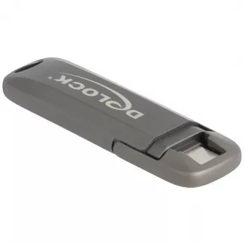 USB zibatmiņa DeLOCK 54012 256 GB USB Type-C pelēka