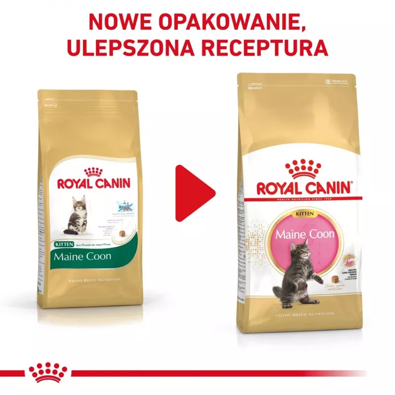 Sausā kaķu barība Royal Canin Maine Coon Kitten 2 kg — mājputnu gaļa, olbaltumvielas 36%, tauki 23%
