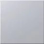 Siedle BM 611-0 SM - Aufspannplatte - Sudraba - Siedle - 99 mm - 26 mm - 99 mm (200016941-01)