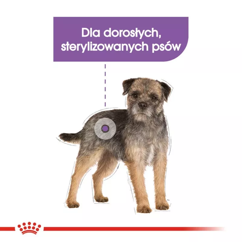 Sausā suņu barība Royal Canin Mini Sterilised Care — 3 kg, vista, sterilizētām mazo šķirņu (5–10 kg) suņiem, pieaugušiem, 30% olbaltumvielu