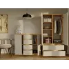 kumode ar 2 durvis un 4 atvilktnes, artisan ozols/kašmira krāsa