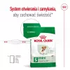 ROYAL CANIN Mini Ageing Adult +12 - sausā suņu barība - 3,5 kg