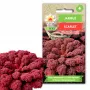 Scarlet Toraf kāpostu sēklas, 1g iepakojums