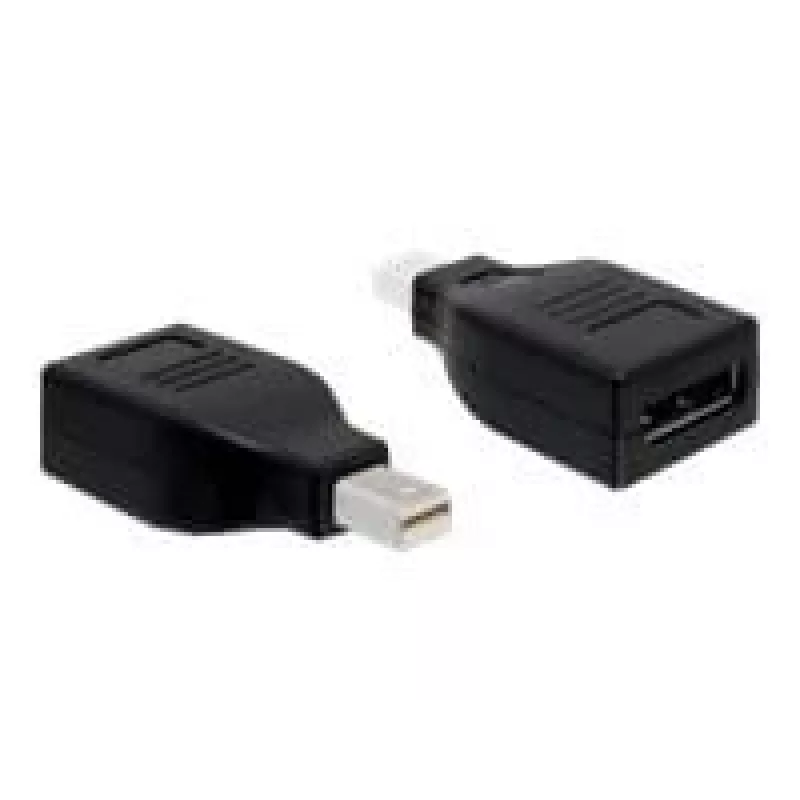 DisplayPort adapteris DeLOCK 65238