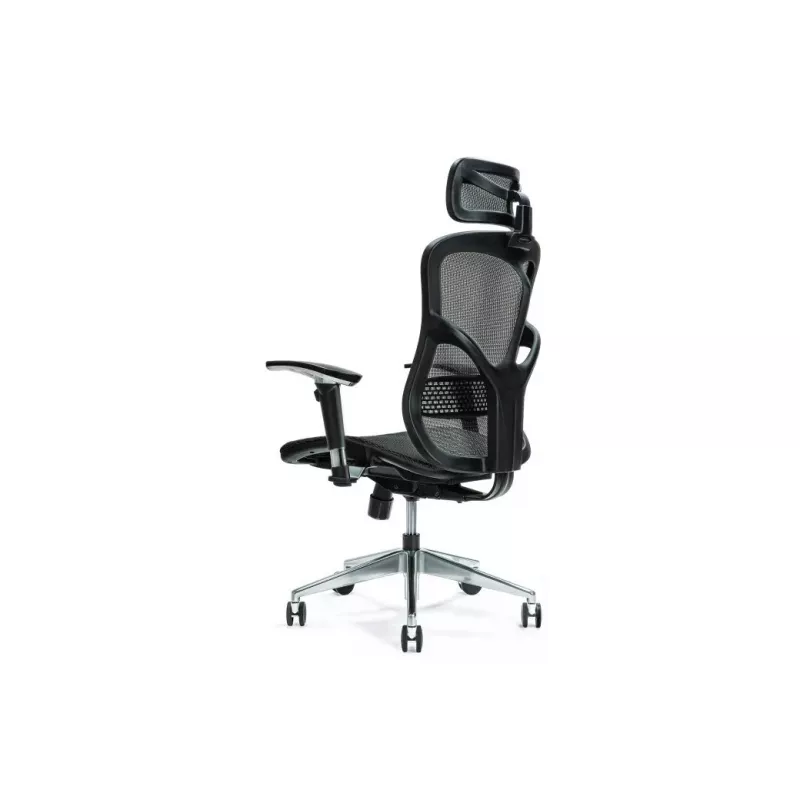 Ergonomisks biroja krēsls ERGO 500 melns