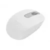 Logitech M196 optiskā bezvadu pele